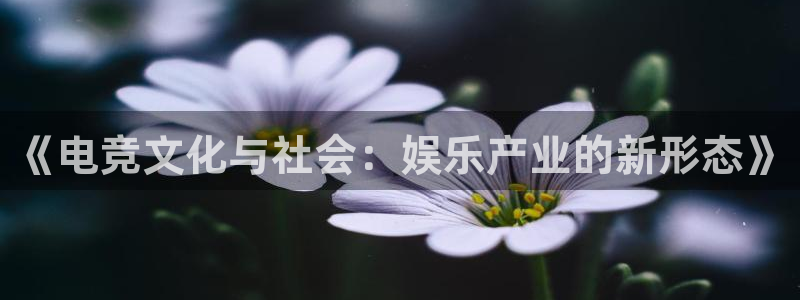 奇亿娱乐平台