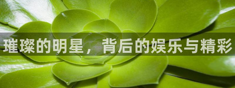 奇亿娱乐登录