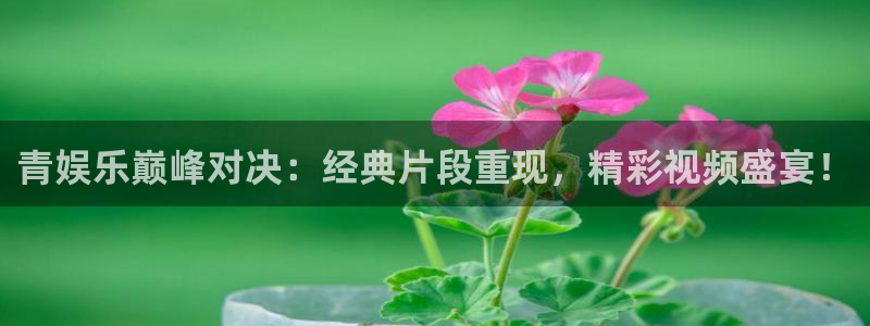 奇亿娱乐app